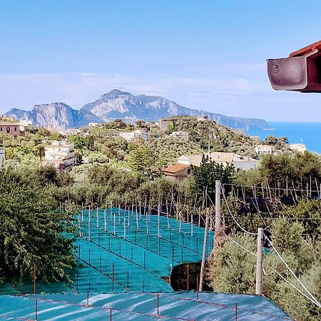 La Lobra Dependance Villa Massa Lubrense Exterior photo